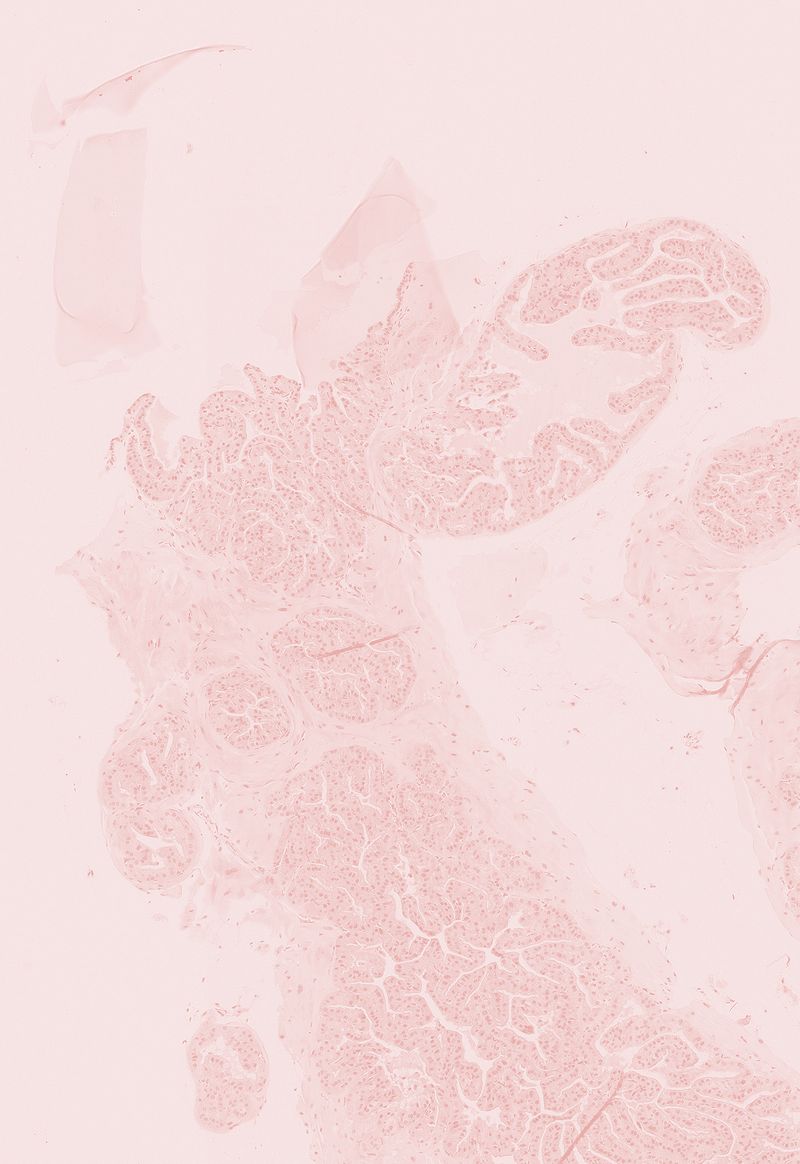 © Giulia Iacolutti - Image from the Casa Azul (Blue House) photography project