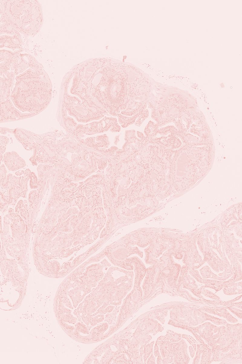 © Giulia Iacolutti - Image from the Casa Azul (Blue House) photography project