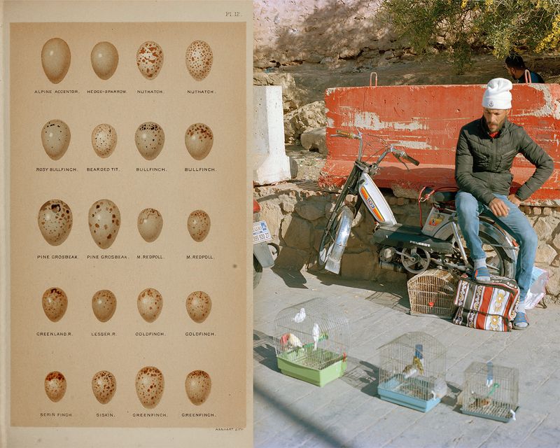 © Gabriela de Giacomo - Image from the Taghrida, the birds singing photography project