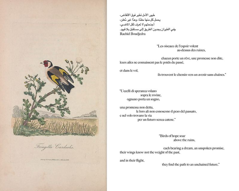 © Gabriela de Giacomo - Image from the Taghrida, the birds singing photography project