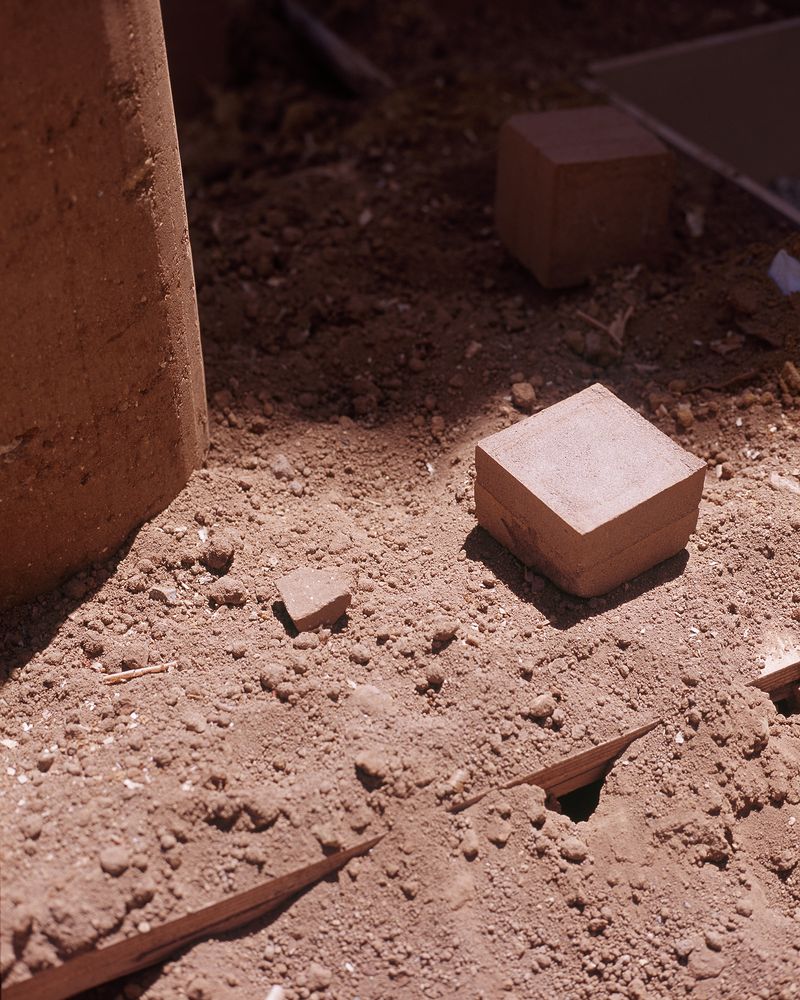 © Gabriela de Giacomo - Image from the Taghrida, the birds singing photography project