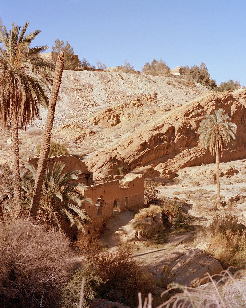 © Gabriela de Giacomo - Image from the Taghrida, the birds singing photography project