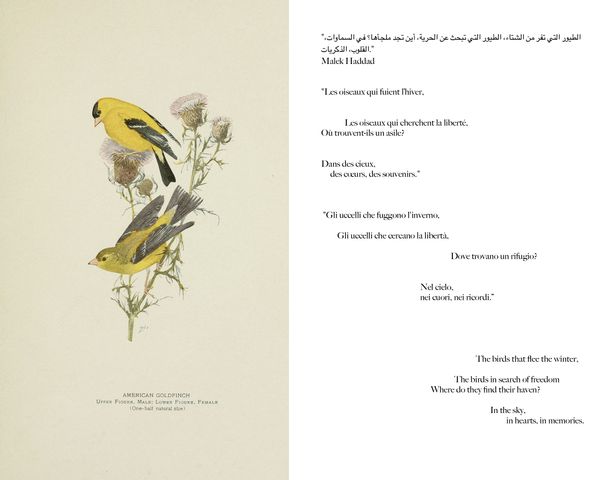 © Gabriela de Giacomo - Image from the Taghrida, the birds singing photography project