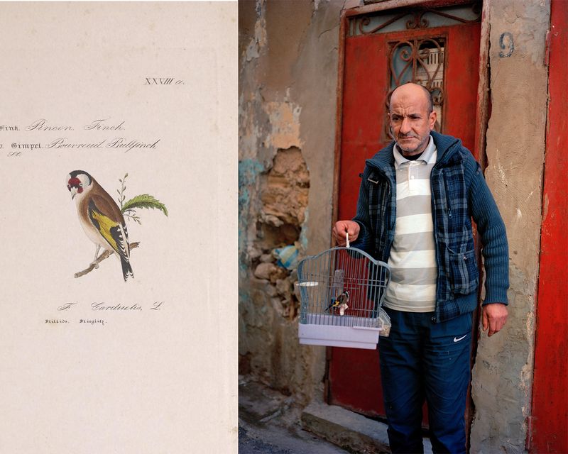 © Gabriela de Giacomo - Image from the Taghrida, the birds singing photography project