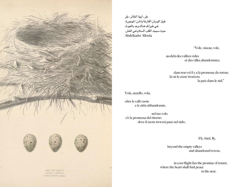 © Gabriela de Giacomo - Image from the Taghrida, the birds singing photography project