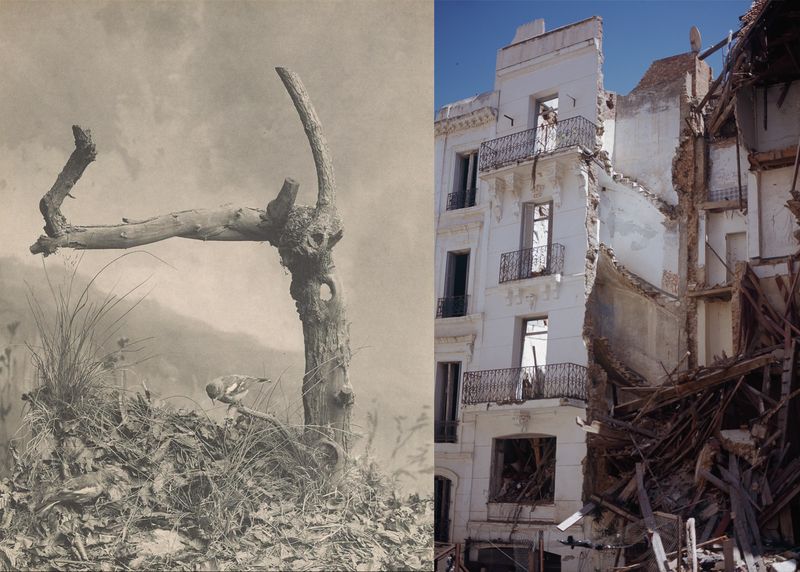 © Gabriela de Giacomo - Image from the Taghrida, the birds singing photography project