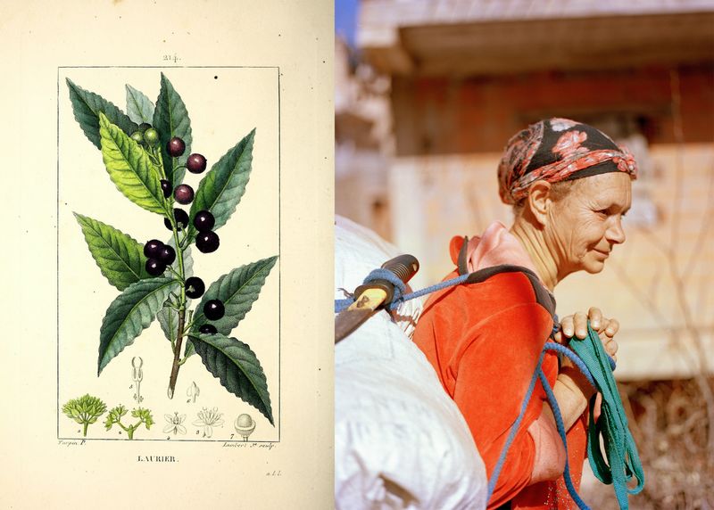 © Gabriela de Giacomo - Image from the Taghrida, the birds singing photography project