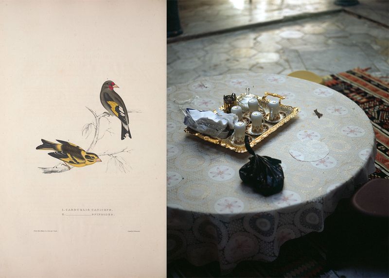 © Gabriela de Giacomo - Image from the Taghrida, the birds singing photography project