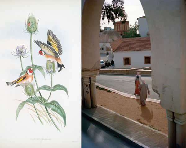 © Gabriela de Giacomo - Image from the Taghrida, the birds singing photography project