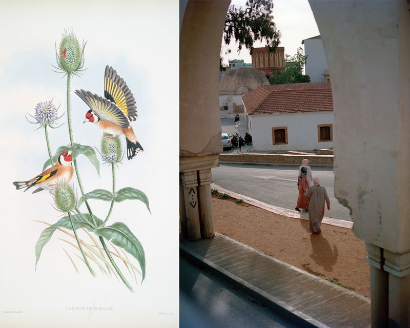 © Gabriela de Giacomo - Image from the Taghrida, the birds singing photography project