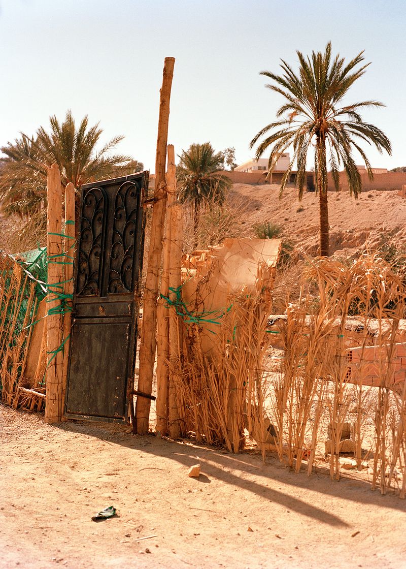 © Gabriela de Giacomo - Image from the Taghrida, the birds singing photography project