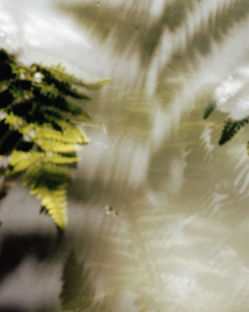 © Gabriela de Giacomo - Image from the Trai fiour pour Sablinna. Three flowers for Elisabetta. photography project