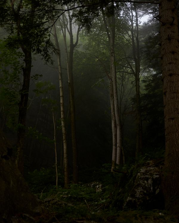 © Gabriela de Giacomo - Image from the Trai fiour pour Sablinna. Three flowers for Elisabetta. photography project