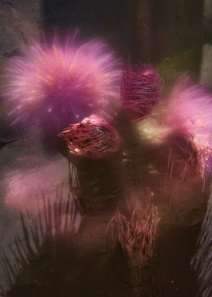 Trai fiour pour Sablinna. Three flowers for Elisabetta.