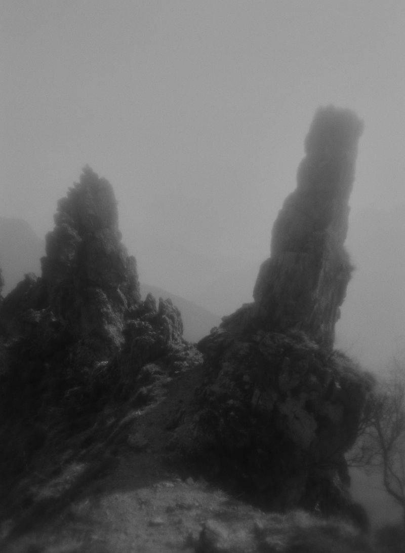 © Gabriela de Giacomo - Image from the In Nemore - Where the Mist lifts photography project