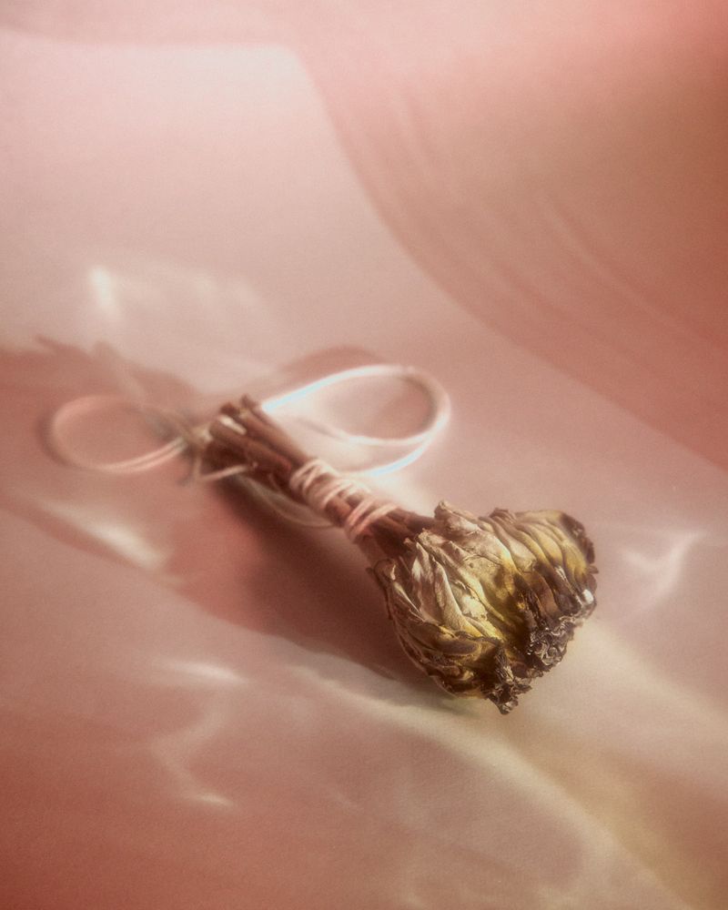© Gabriela de Giacomo - Image from the In Nemore - Where the Mist lifts photography project