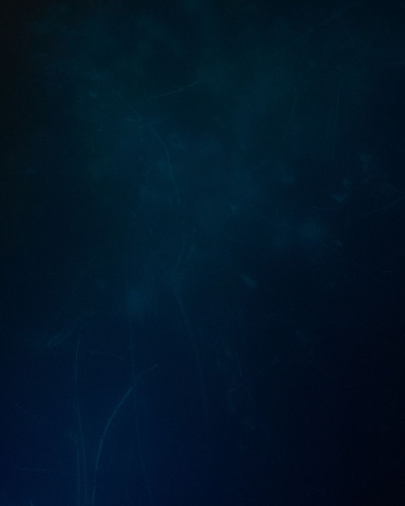 © Gabriela de Giacomo - Image from the In Nemore - Where the Mist lifts photography project