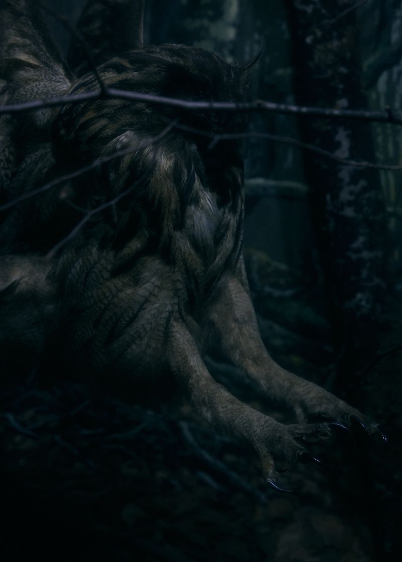 © Gabriela de Giacomo - Image from the In Nemore - Where the Mist lifts photography project