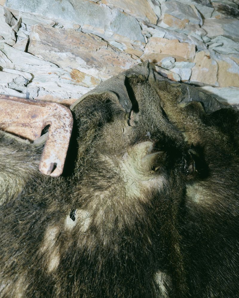 © Gabriela de Giacomo - Image from the In Nemore - Where the Mist lifts photography project