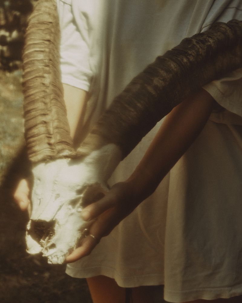 © Gabriela de Giacomo - Image from the In Nemore - Where the Mist lifts photography project