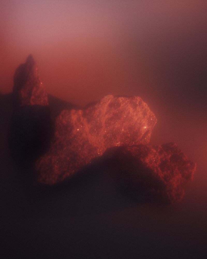 © Gabriela de Giacomo - Image from the In Nemore - Where the Mist lifts photography project