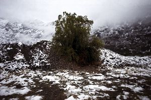 El Eje En La Luna