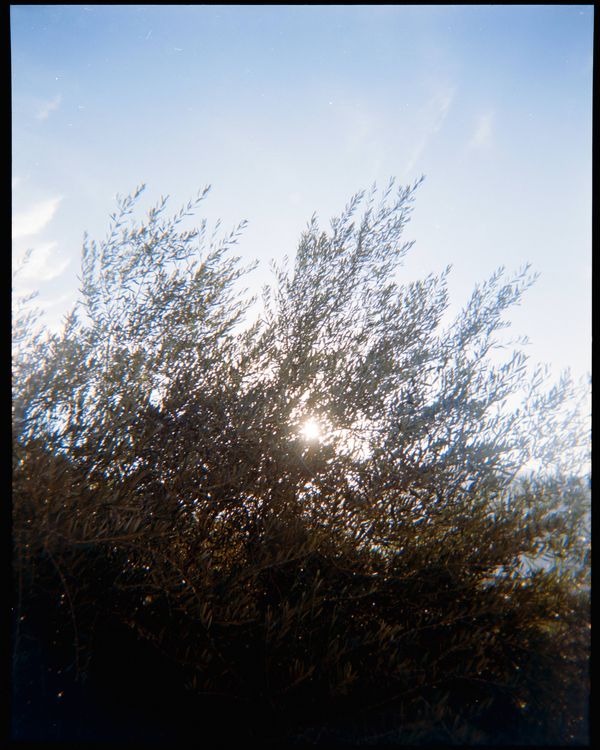 © Catalina Juger Cerda - Image from the Primera Identidad (First Identity) photography project