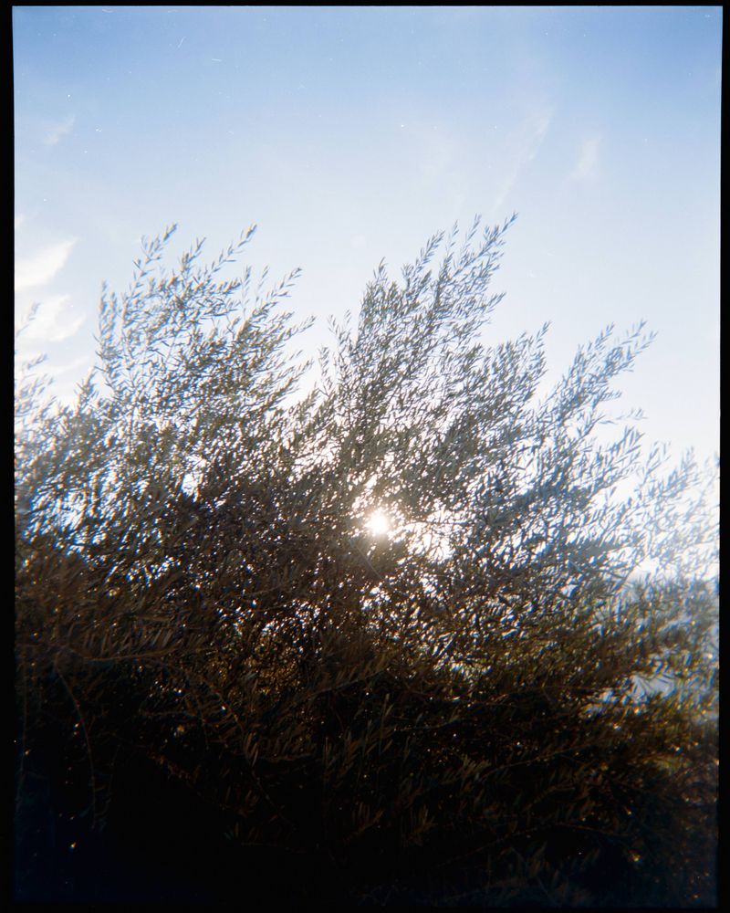 © Catalina Juger Cerda - Image from the Primera Identidad (First Identity) photography project