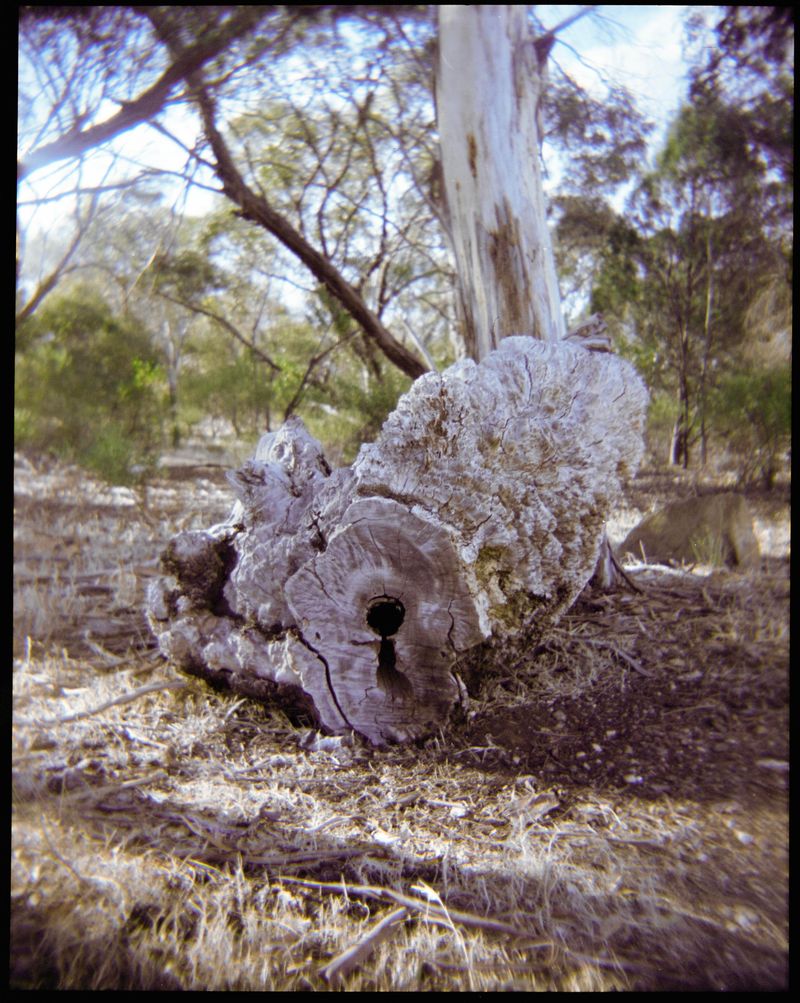 © Catalina Juger Cerda - Image from the Primera Identidad (First Identity) photography project