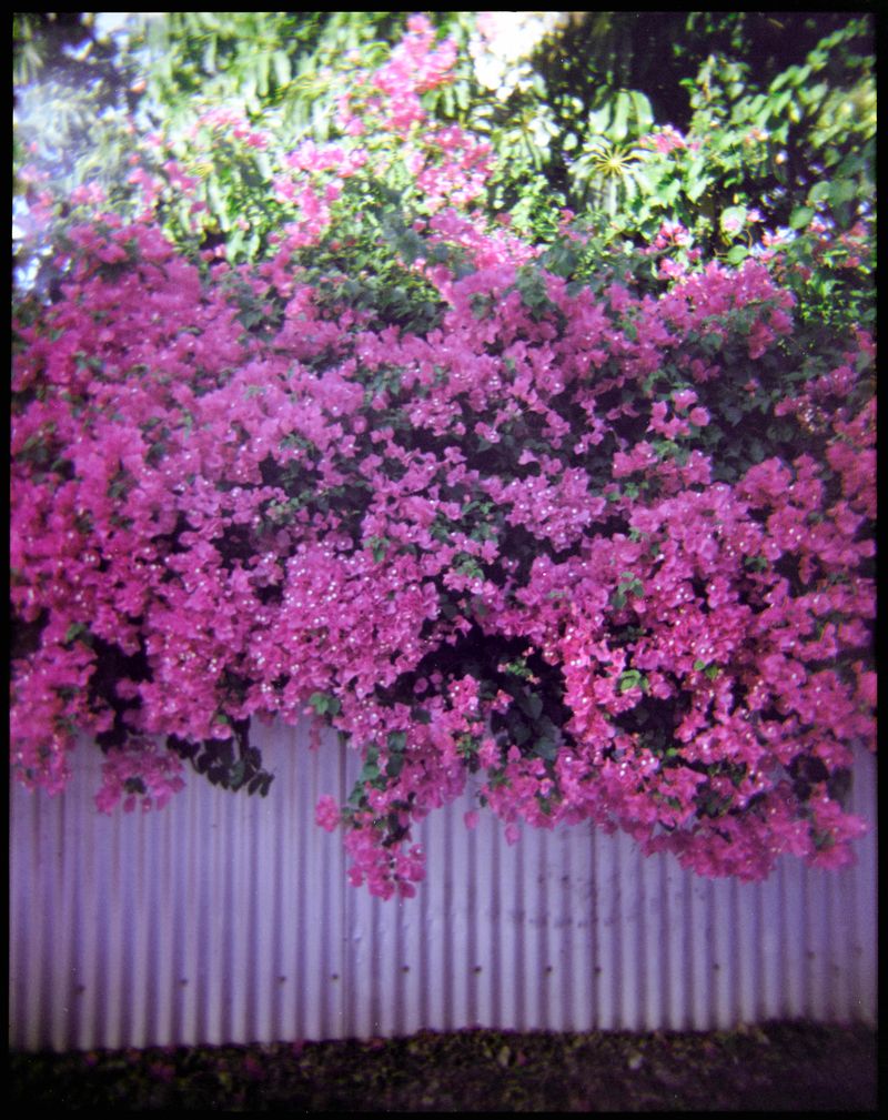 © Catalina Juger Cerda - Image from the Primera Identidad (First Identity) photography project