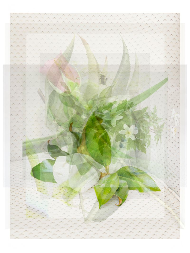 © Pascual + Vincent - ARTIFICIAL FLOWER