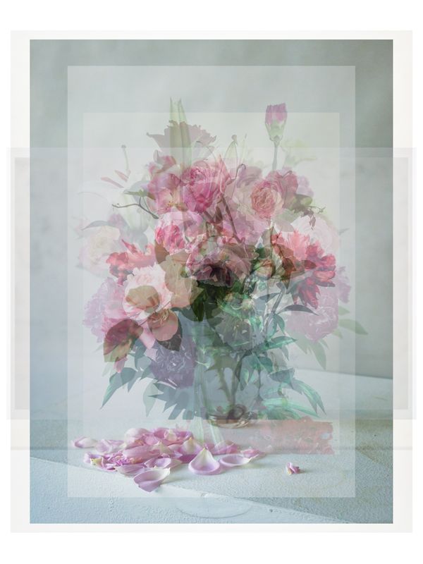 © Pascual + Vincent - GARDEN ROSES
