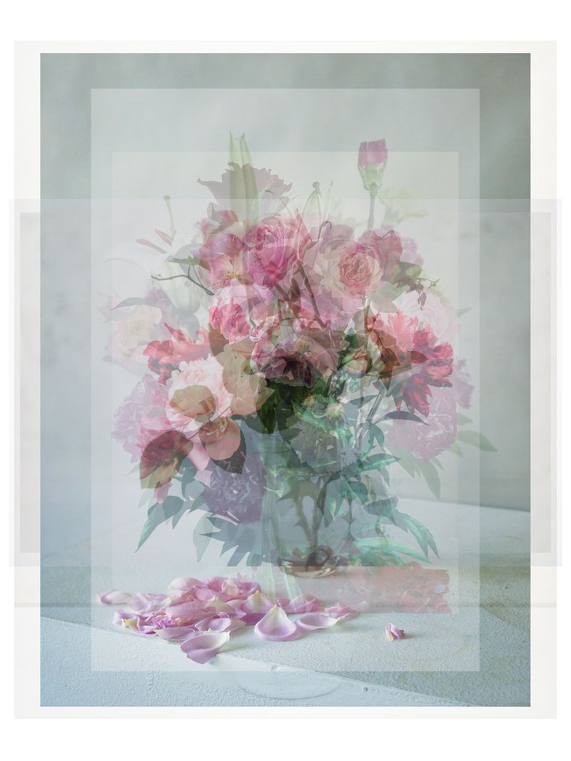 © Pascual + Vincent - GARDEN ROSES