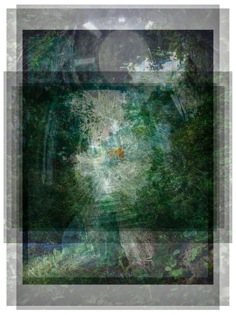 © Pascual + Vincent - POND PINE