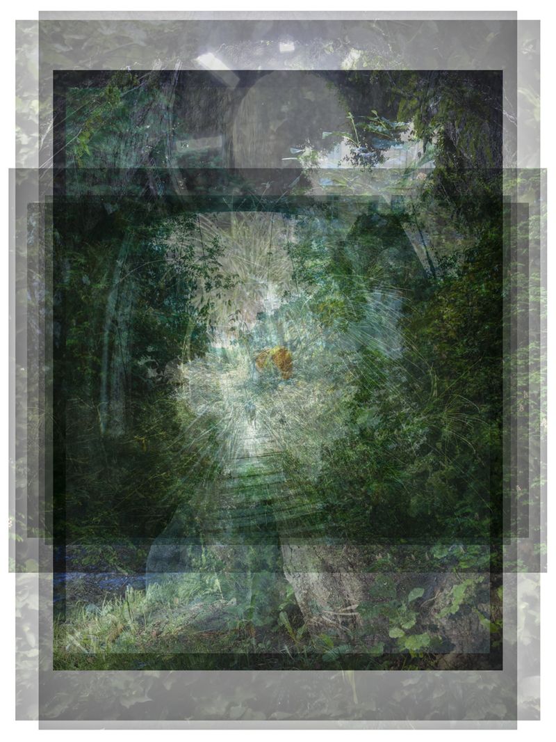 © Pascual + Vincent - POND PINE