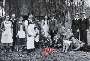 THE SAXONS OF TRANSYLVANIA