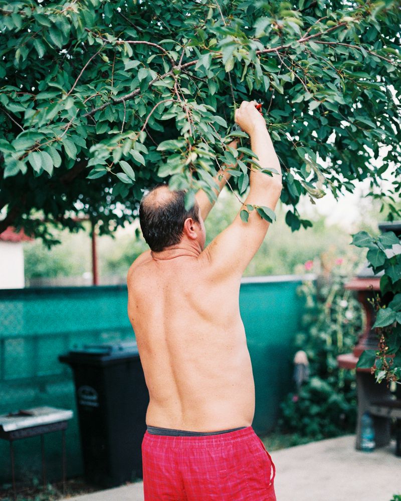 © Pascual + Vincent - Image from the THE TREE OF LIFE IS ETERNALLY GREEN photography project