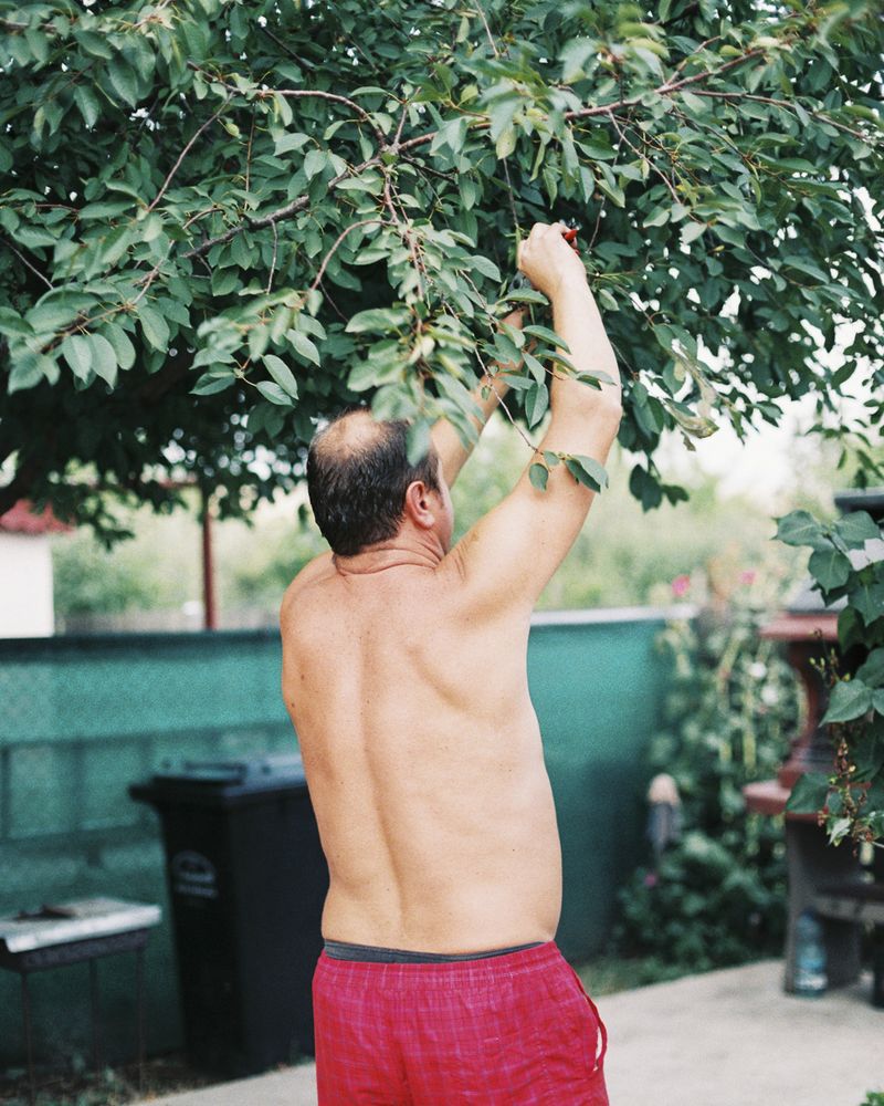 © Pascual + Vincent - Image from the THE TREE OF LIFE IS ETERNALLY GREEN photography project