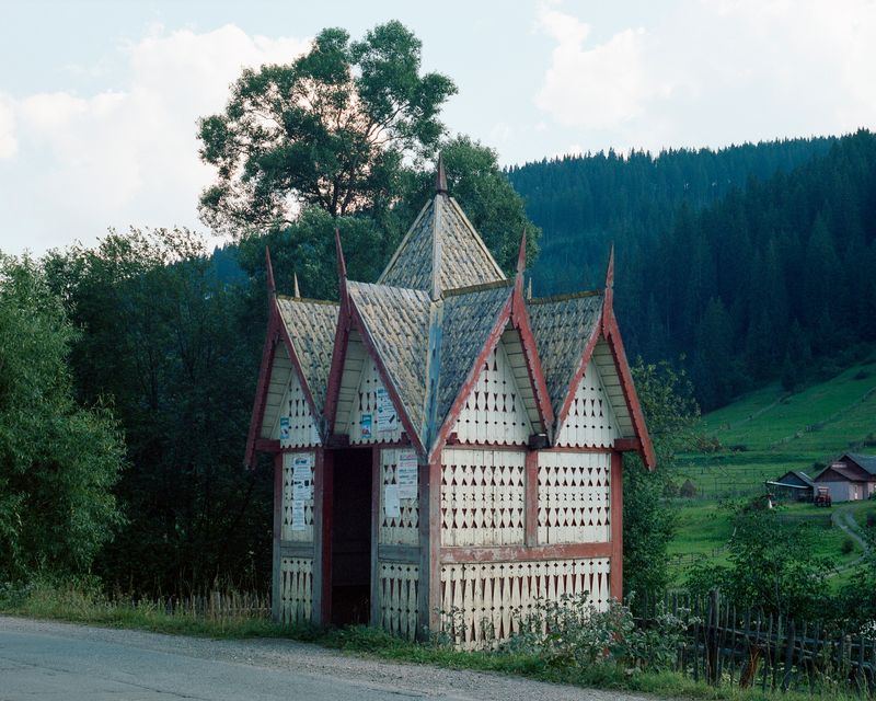 © Pascual + Vincent - Image from the THE TREE OF LIFE IS ETERNALLY GREEN photography project