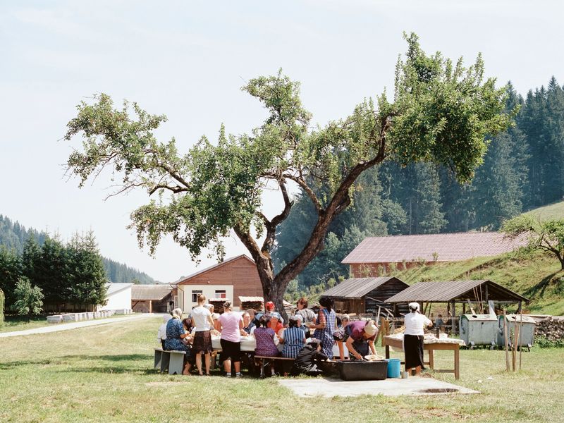 © Pascual + Vincent - Image from the THE TREE OF LIFE IS ETERNALLY GREEN photography project