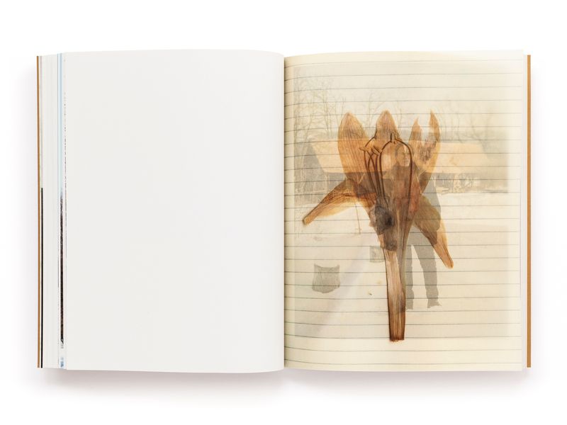 © Pascual + Vincent - Image from the THE TREE OF LIFE IS ETERNALLY GREEN photography project