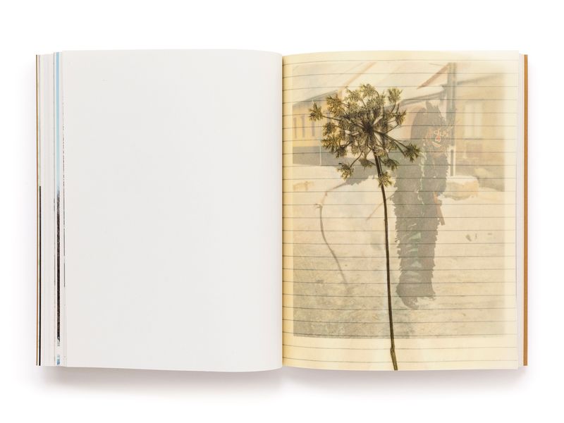 © Pascual + Vincent - Image from the THE TREE OF LIFE IS ETERNALLY GREEN photography project