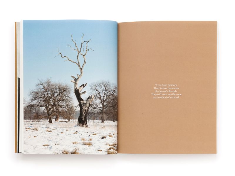 © Pascual + Vincent - Image from the THE TREE OF LIFE IS ETERNALLY GREEN photography project