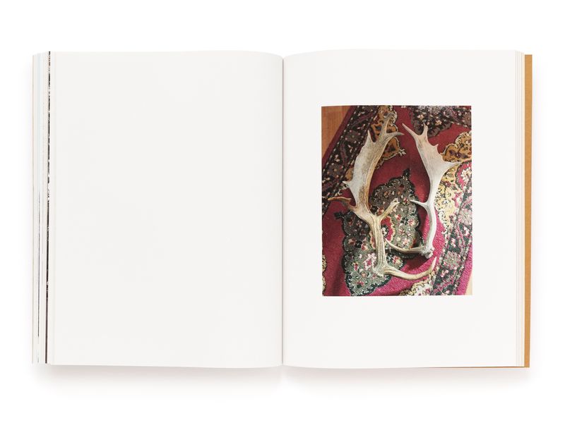 © Pascual + Vincent - Image from the THE TREE OF LIFE IS ETERNALLY GREEN photography project