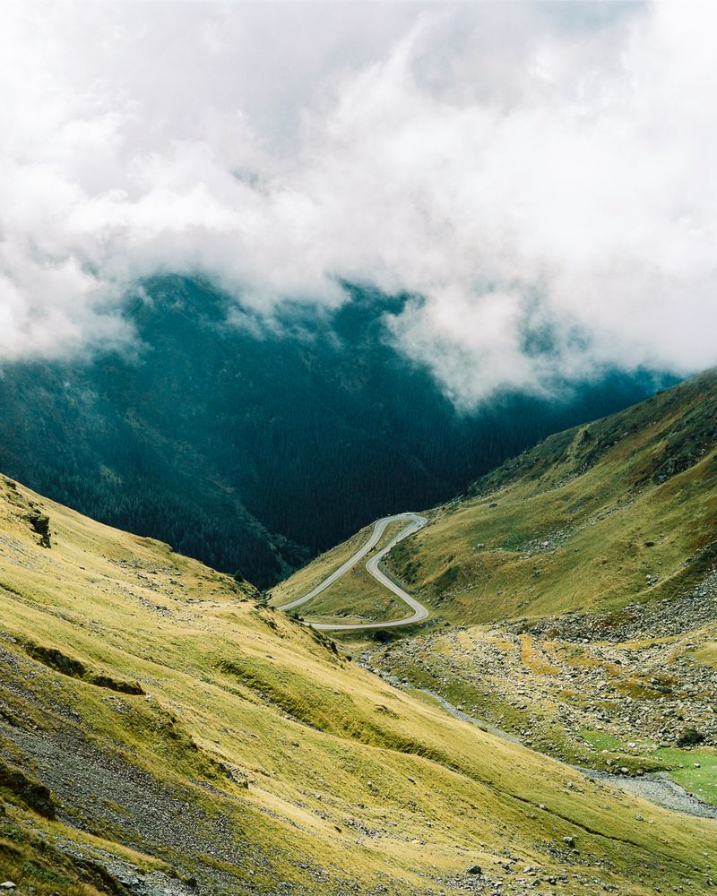 © Pascual + Vincent - Image from the THE TREE OF LIFE IS ETERNALLY GREEN photography project