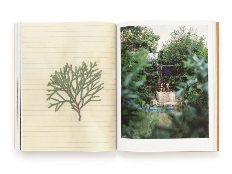© Pascual + Vincent - Image from the THE TREE OF LIFE IS ETERNALLY GREEN photography project