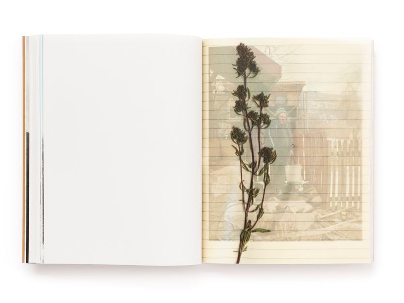 © Pascual + Vincent - Image from the THE TREE OF LIFE IS ETERNALLY GREEN photography project