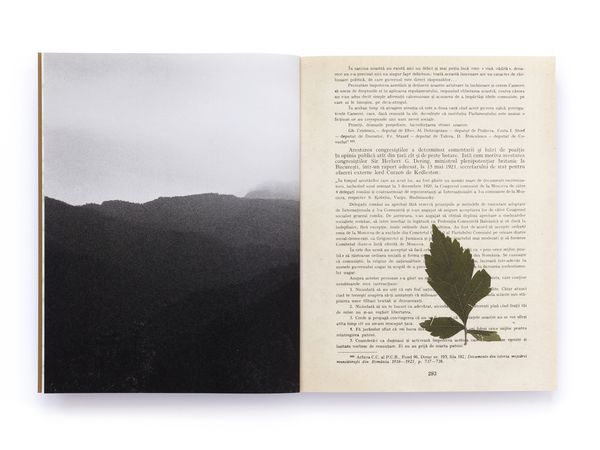 © Pascual + Vincent - Image from the THE TREE OF LIFE IS ETERNALLY GREEN photography project