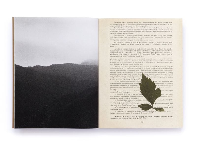 © Pascual + Vincent - Image from the THE TREE OF LIFE IS ETERNALLY GREEN photography project