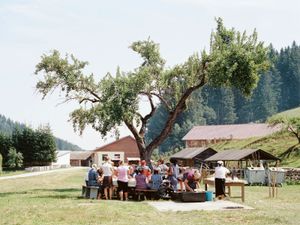 THE TREE OF LIFE IS ETERNALLY GREEN
